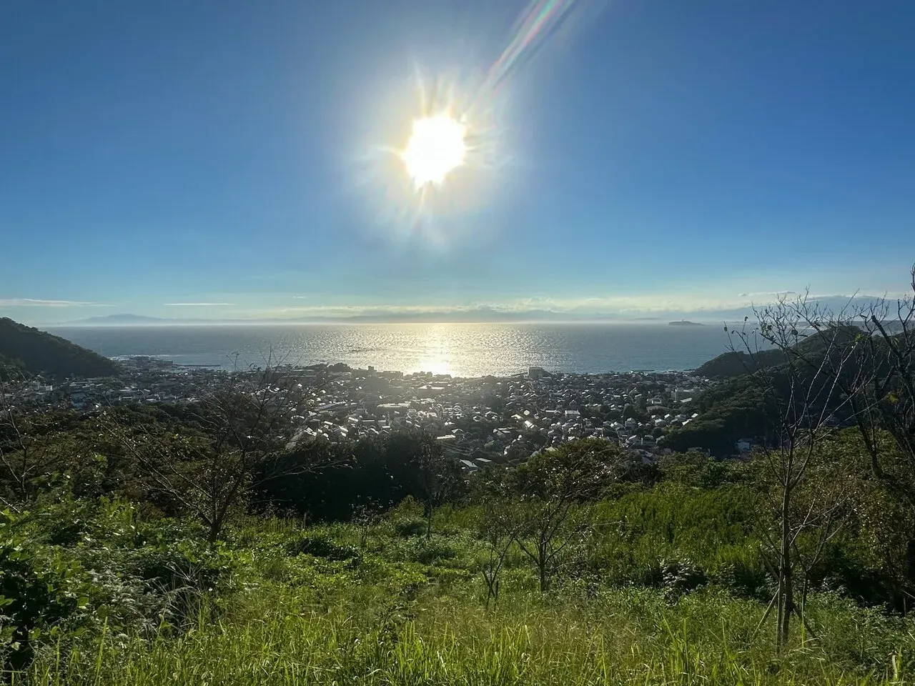 三浦アルプスでトレラン - 画像16