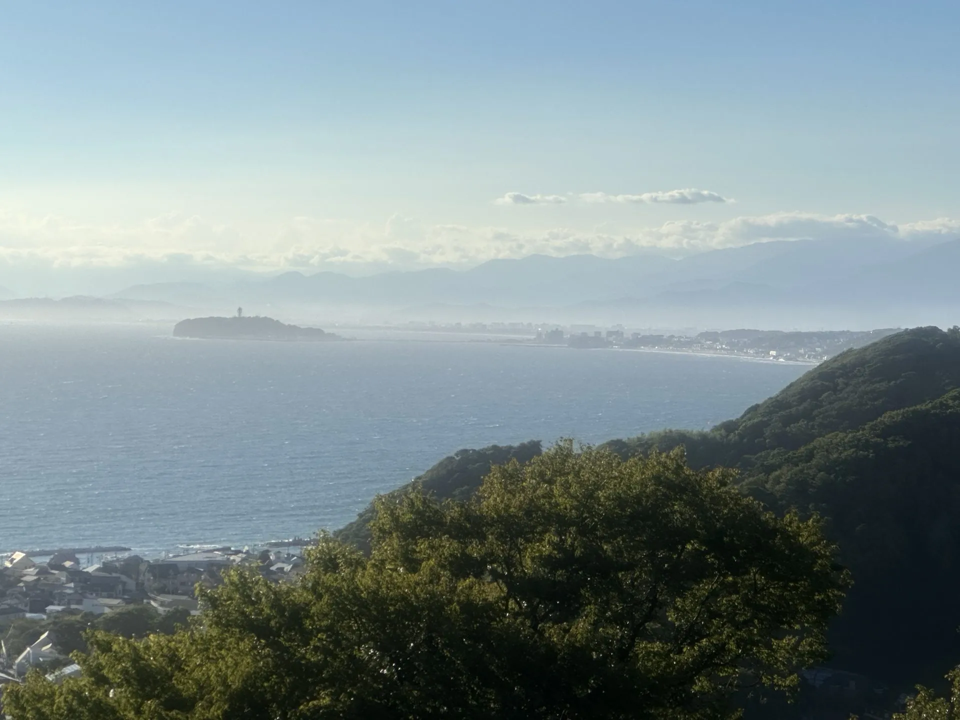 三浦アルプスでトレラン - 画像15