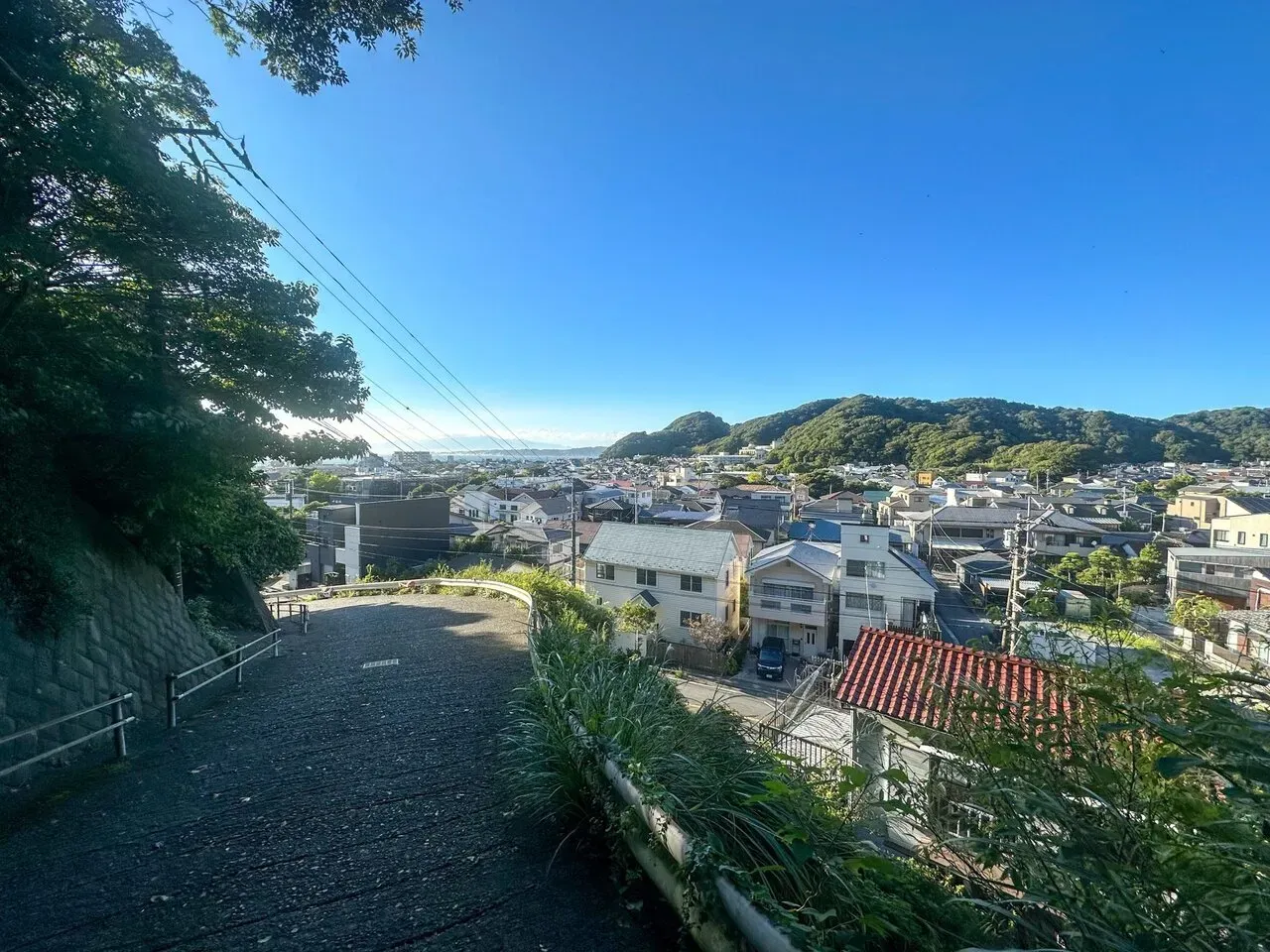 三浦アルプスでトレラン - 画像17