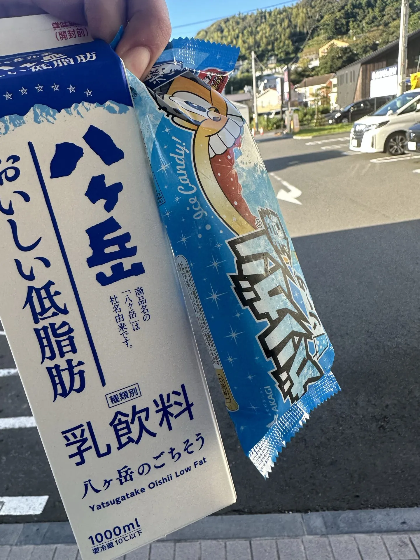 三浦アルプスでトレラン - 画像20