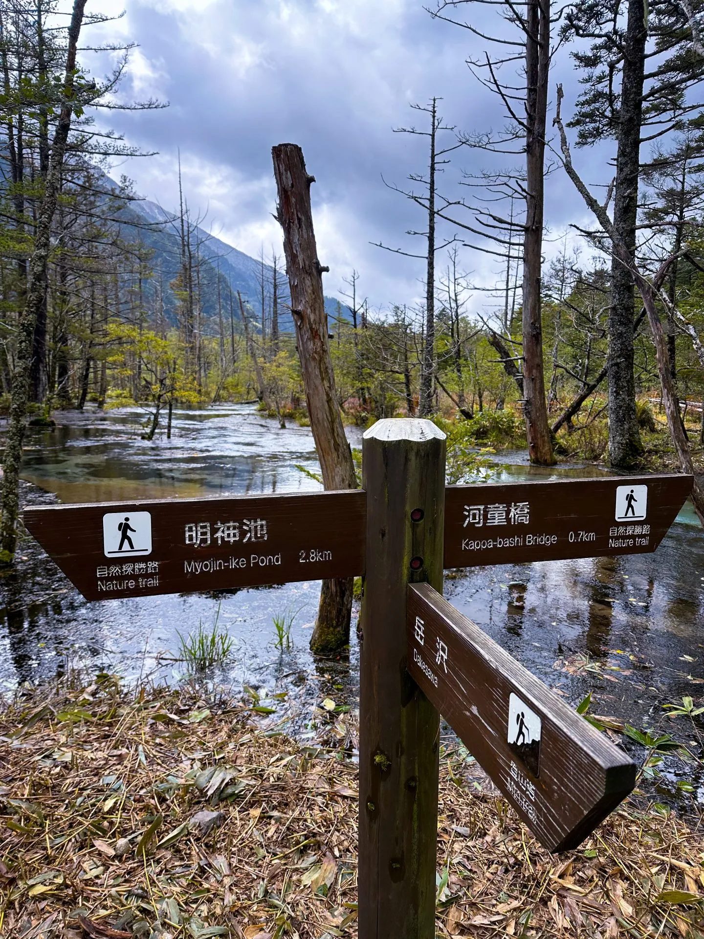 松本から小松へ270kmライド(上高地でトレラン 10km 編) - 画像18
