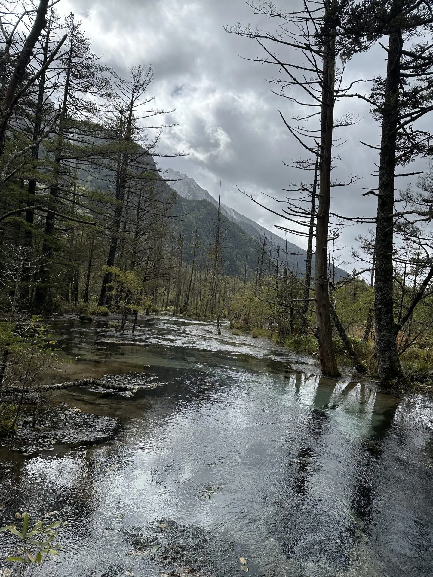 松本から小松へ270kmライド(上高地でトレラン 10km 編) - 画像19