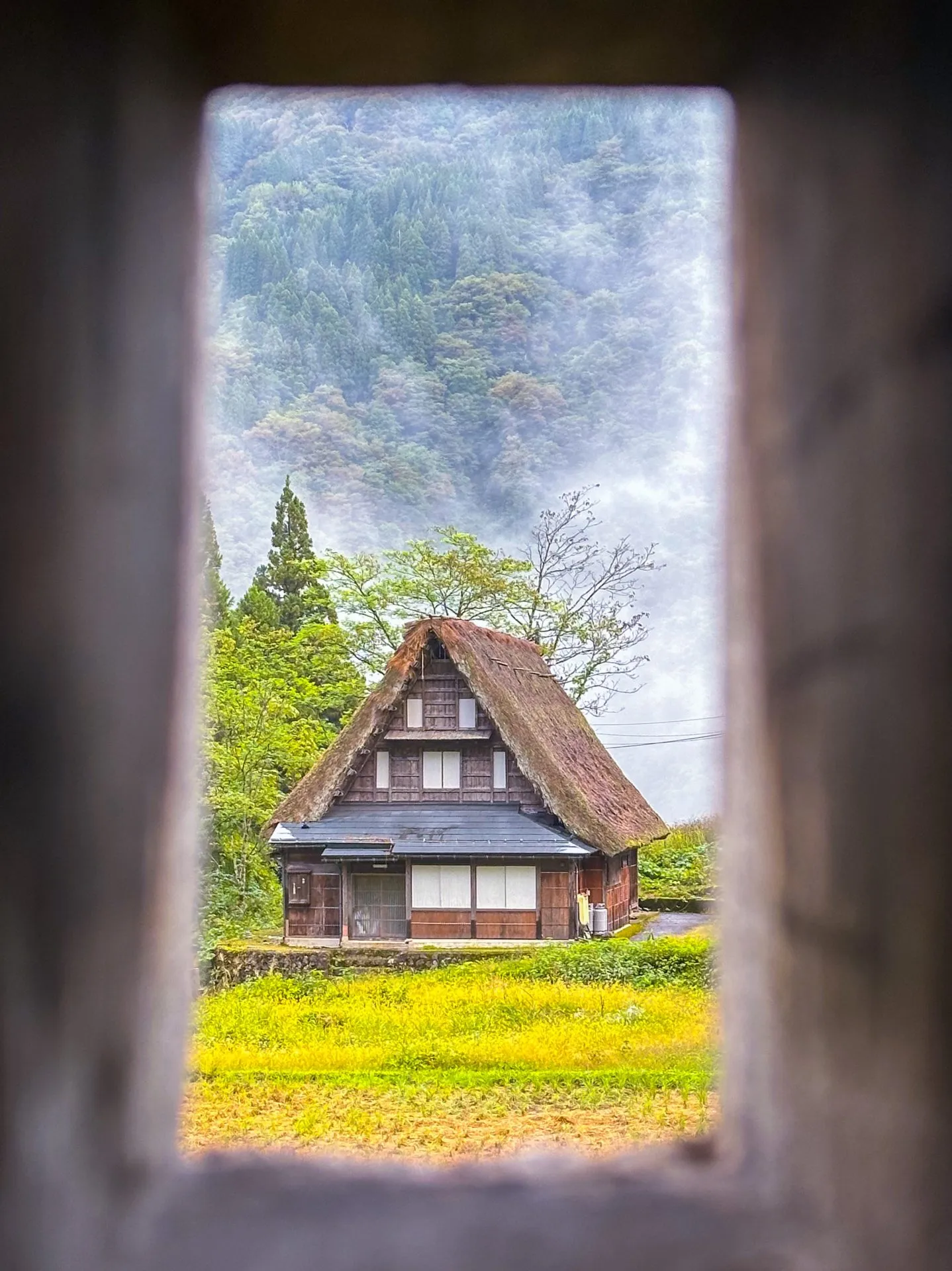 松本から小松へ270kmライド(白川郷から小松 100km 編) - 画像7