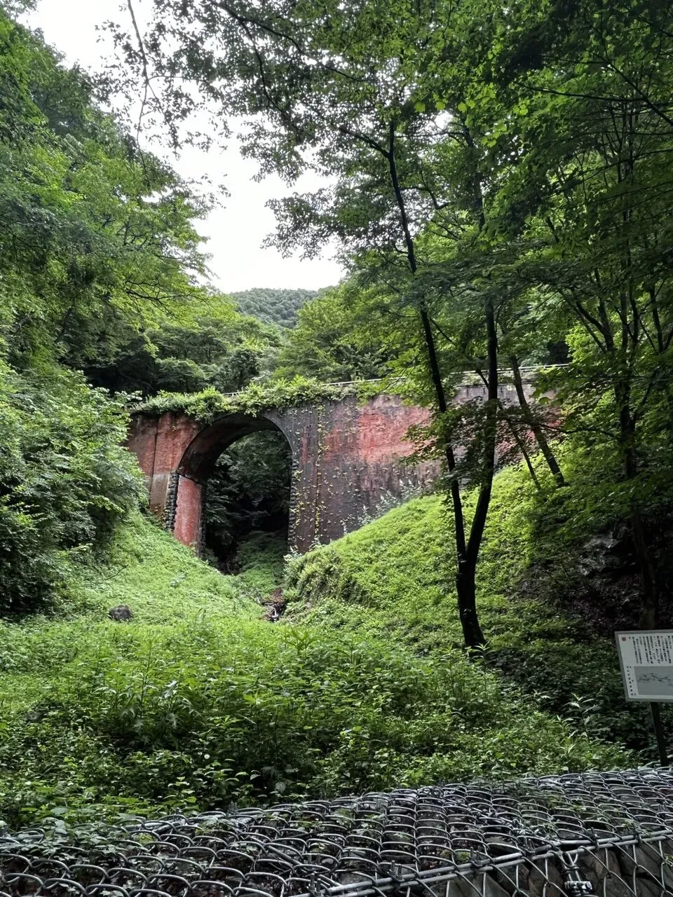 碓氷峠ヒルクライムトレーニング - 画像9