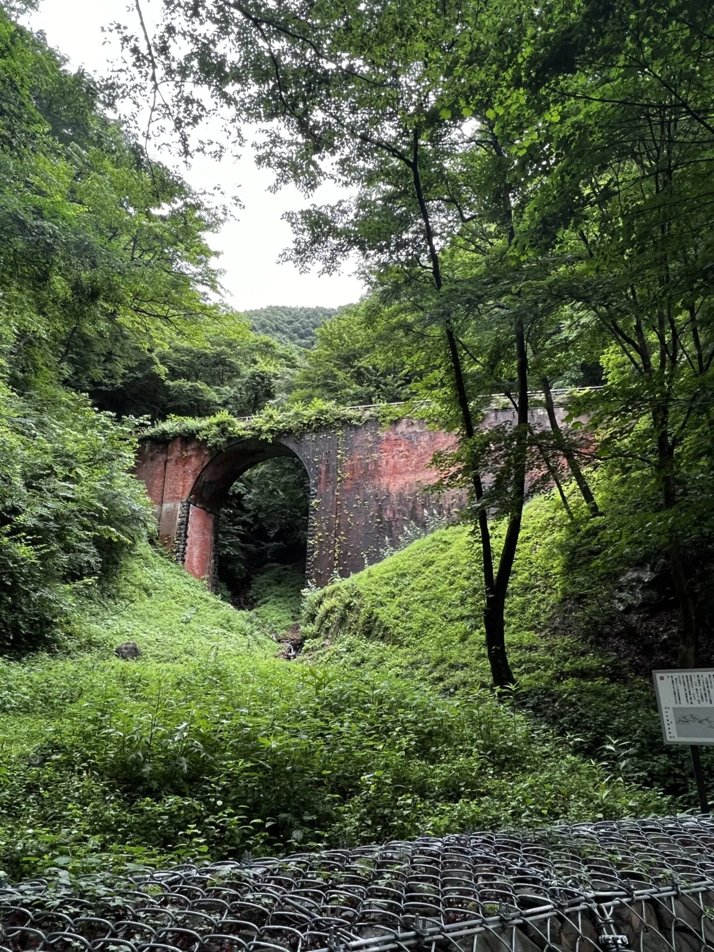 碓氷峠ヒルクライムトレーニング - 画像9