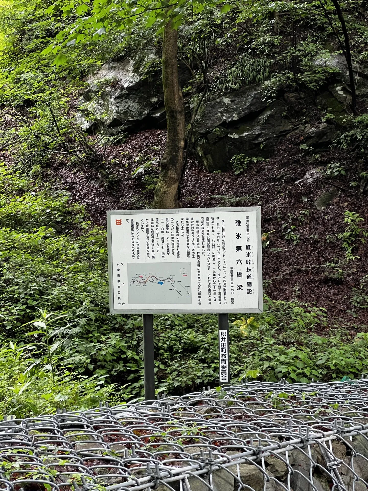 碓氷峠ヒルクライムトレーニング - 画像8