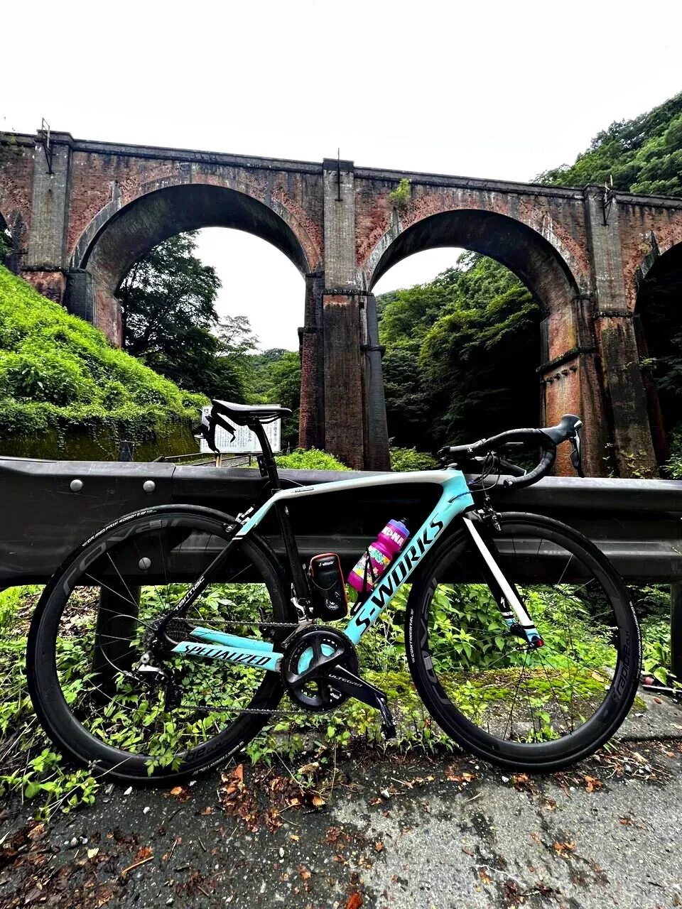 Cover Image of the Post