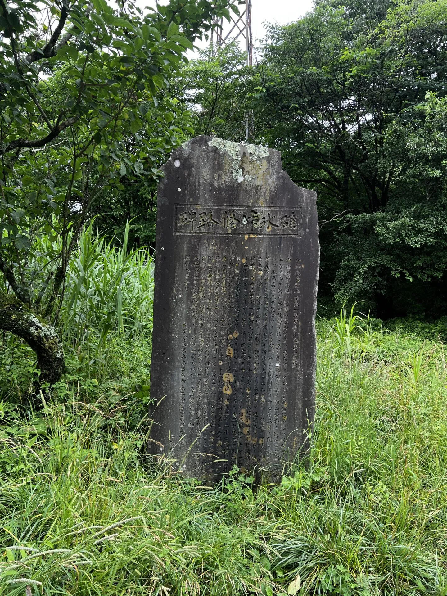 碓氷峠ヒルクライムトレーニング - 画像2