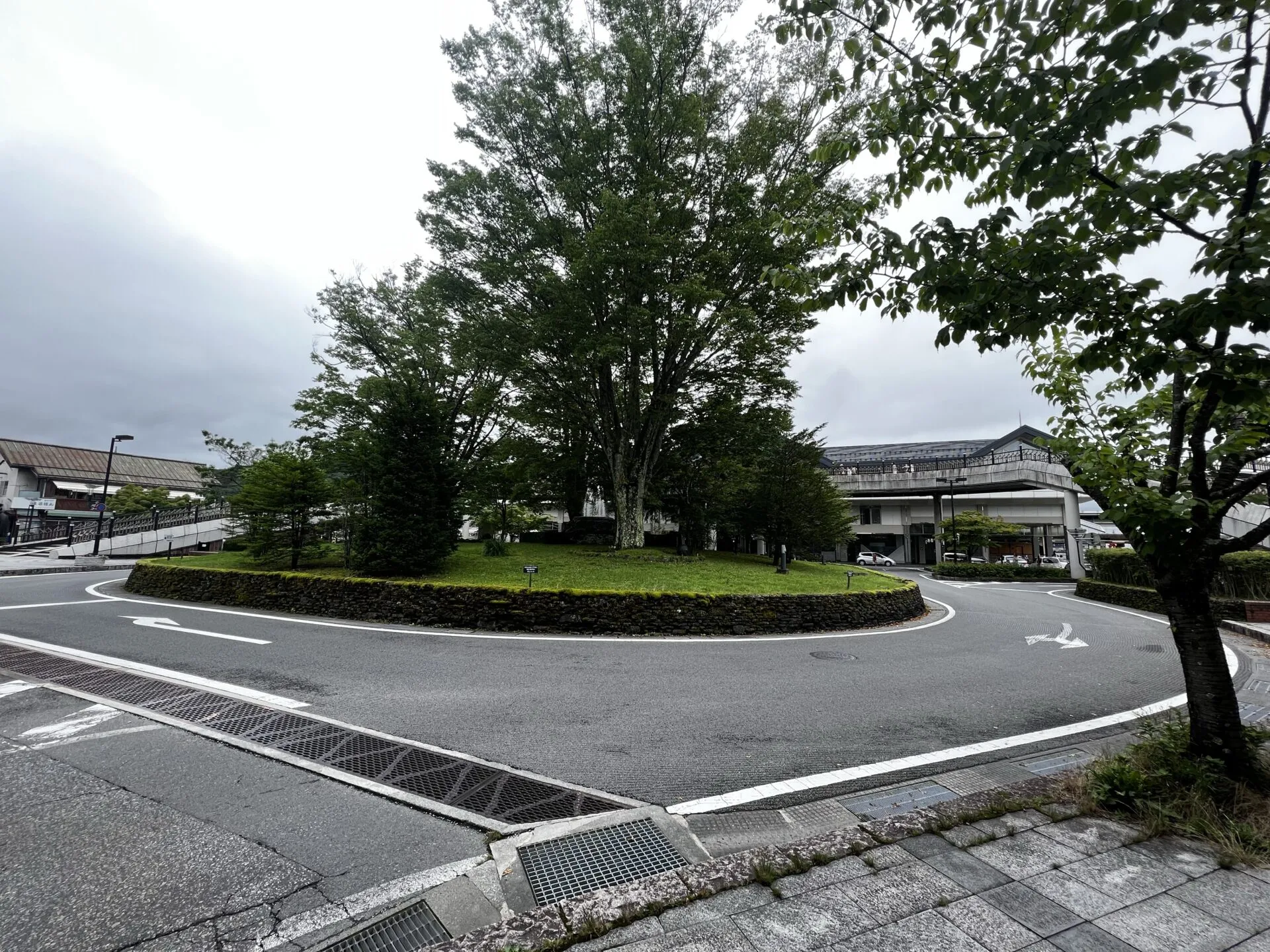 碓氷峠ヒルクライムトレーニング - 画像15