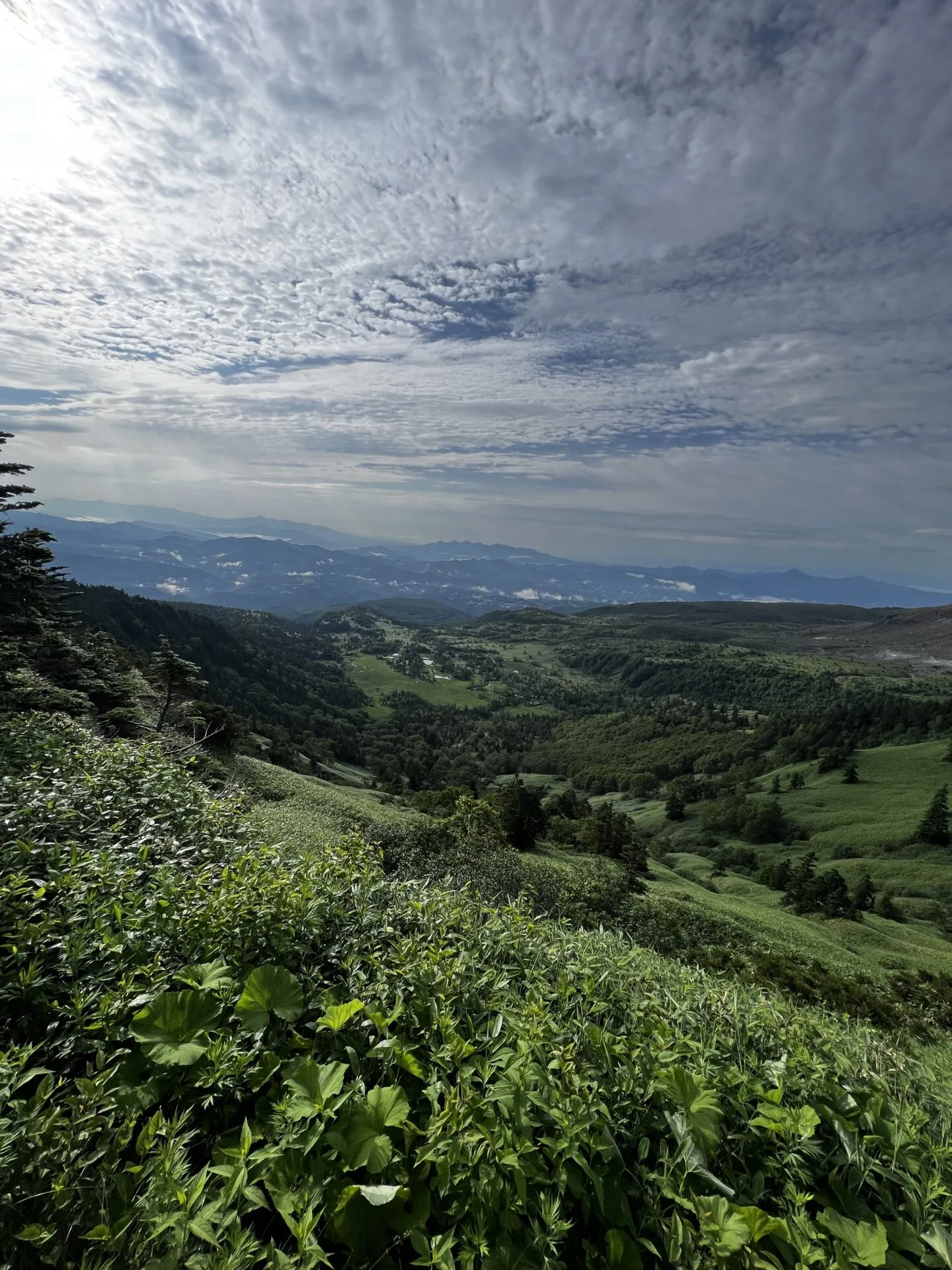 ツールド草津のヒルクライムから渋峠へのライド - 画像12