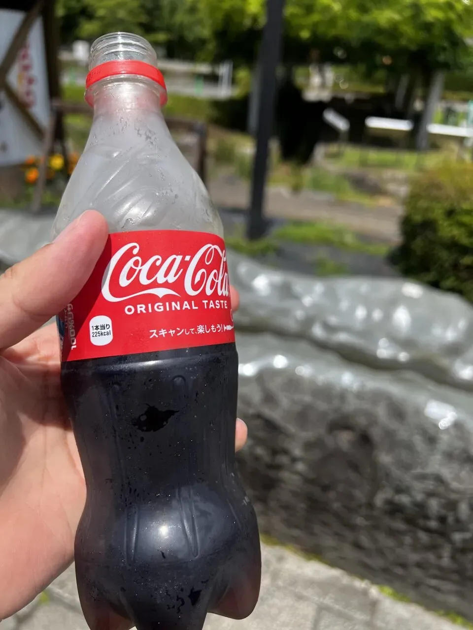 高尾駅⇄同志道⇄山中湖トレーニング - 画像2