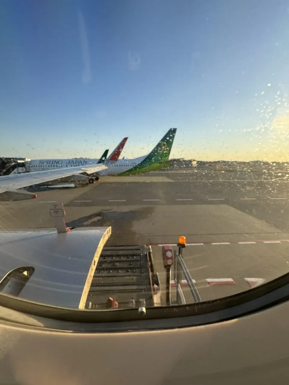 別府大分毎日マラソン 2024年 【旅行編】 - 画像6