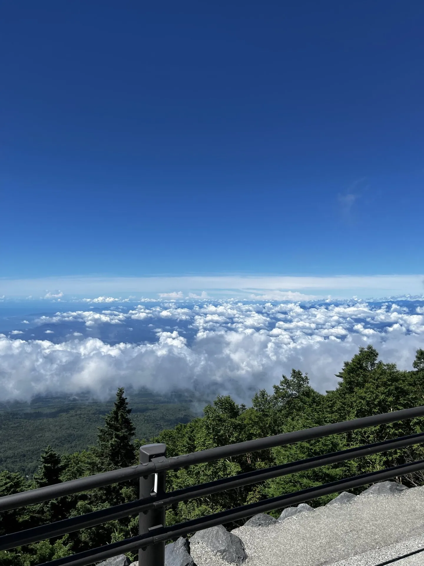展望台から眼下に広がる雲海