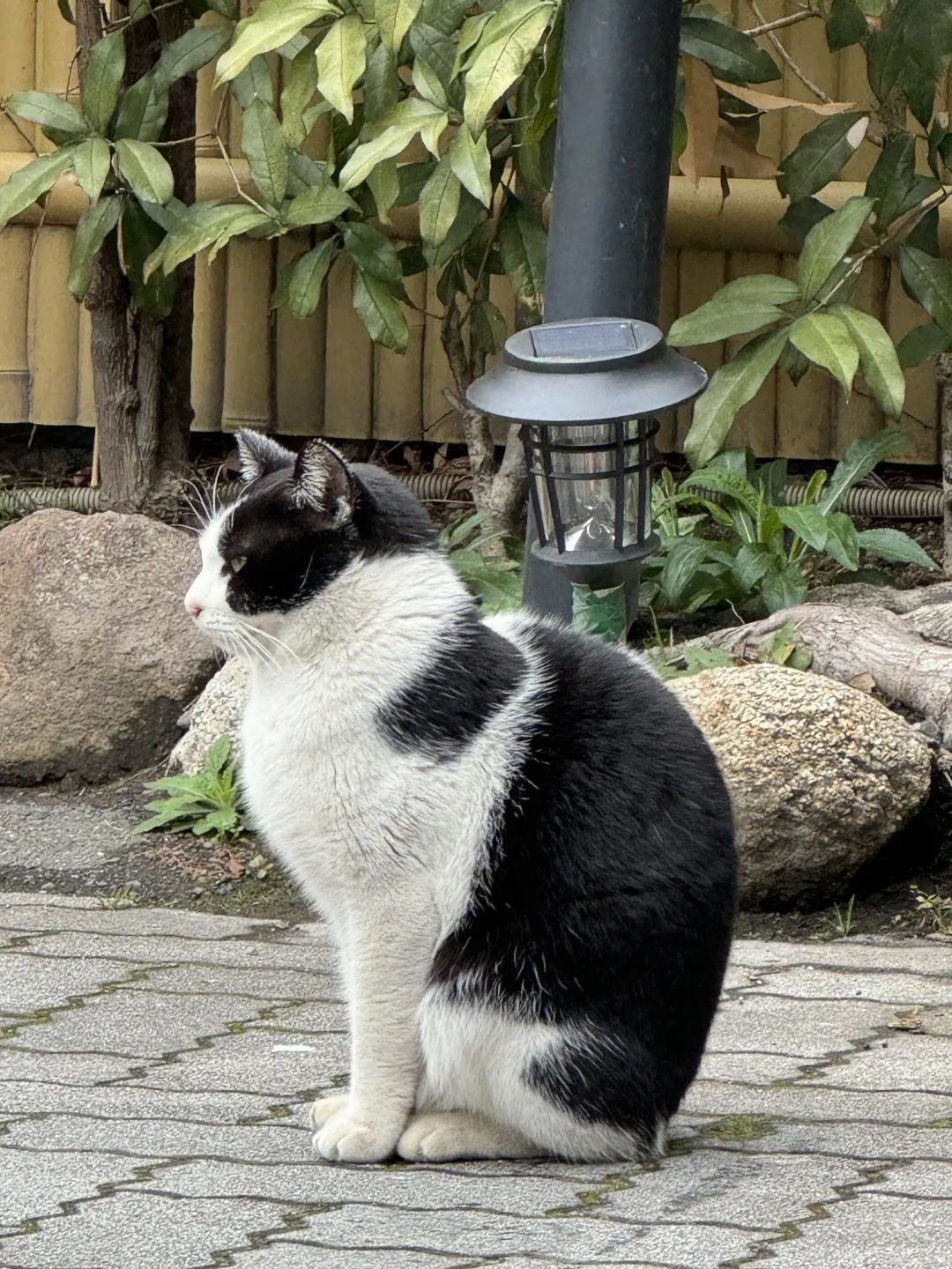 別府大分毎日マラソン 2024年 【旅行編】 - 画像16