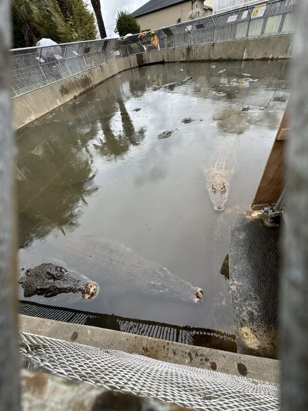 別府大分毎日マラソン 2024年 【旅行編】 - 画像33