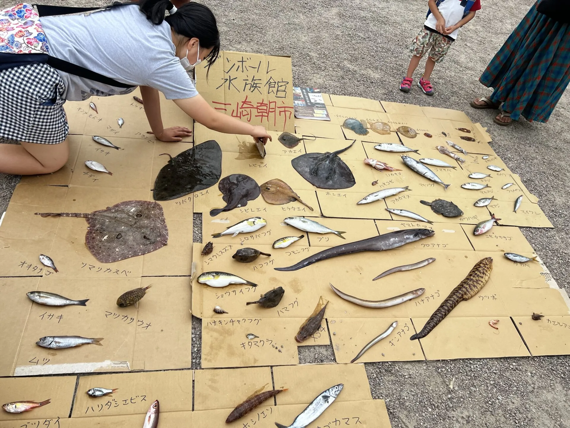 葉山<=>三崎港ライドでマグロ朝ごはんとスイーツ - 画像3