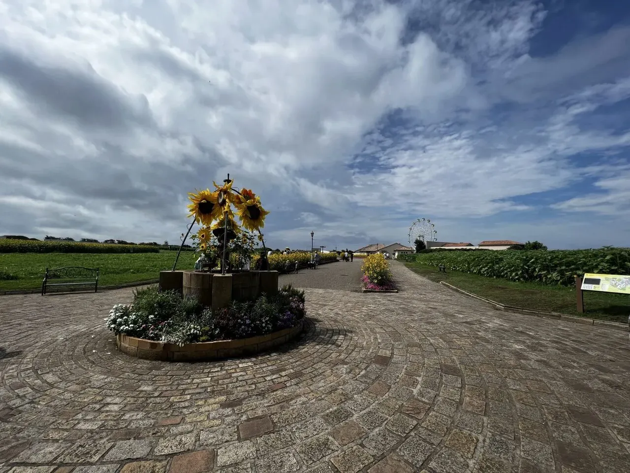 葉山<=>三崎港ライドでマグロ朝ごはんとスイーツ - 画像6