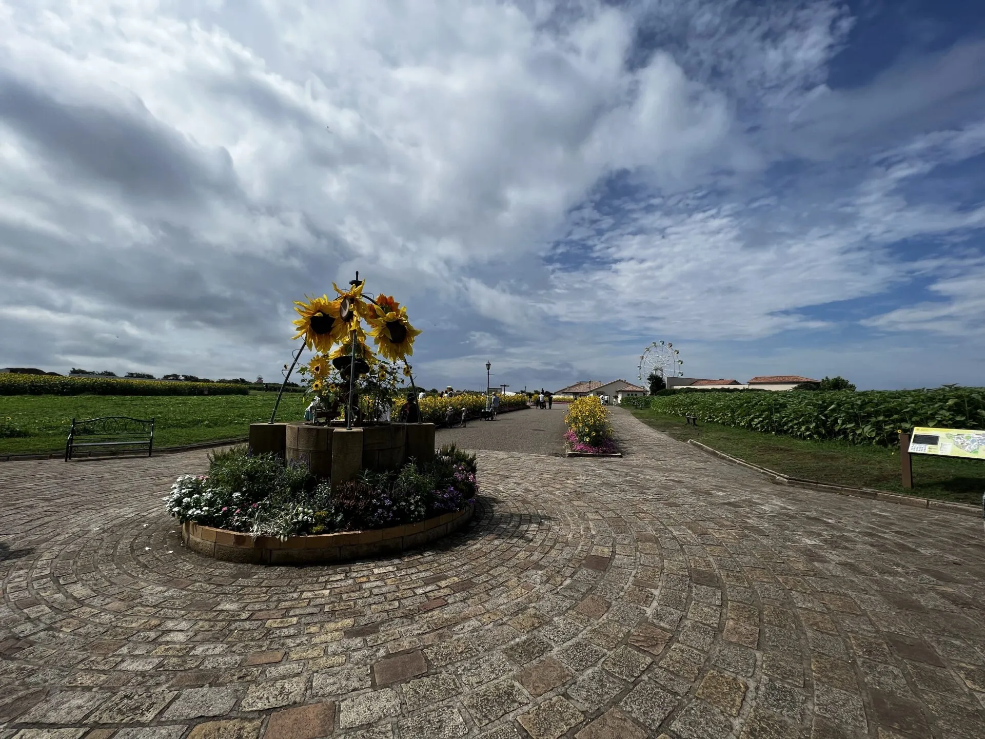 葉山<=>三崎港ライドでマグロ朝ごはんとスイーツ - 画像6