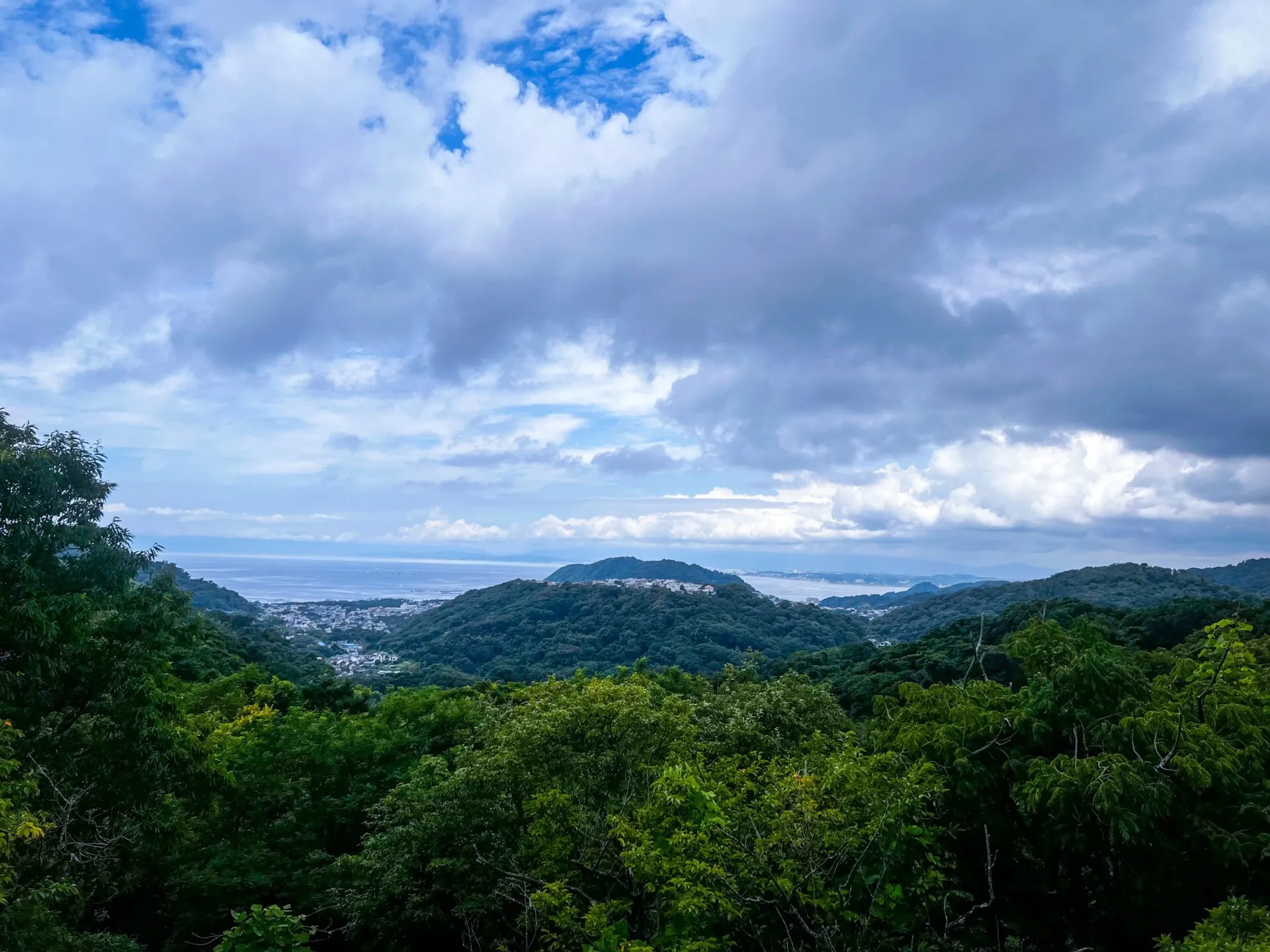 葉山<=>三崎港ライドでマグロ朝ごはんとスイーツ - 画像11