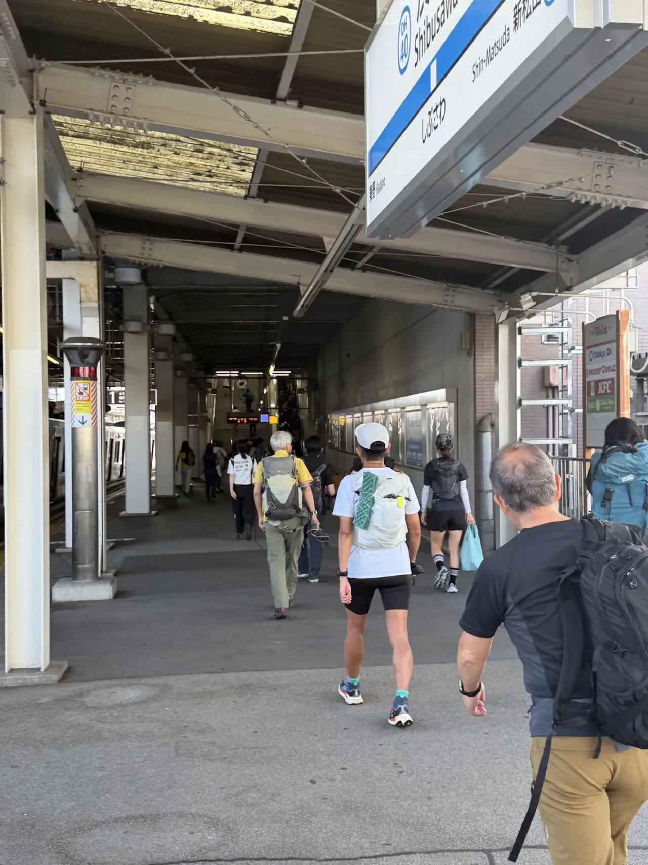渋沢駅から見上げる丹沢の山々