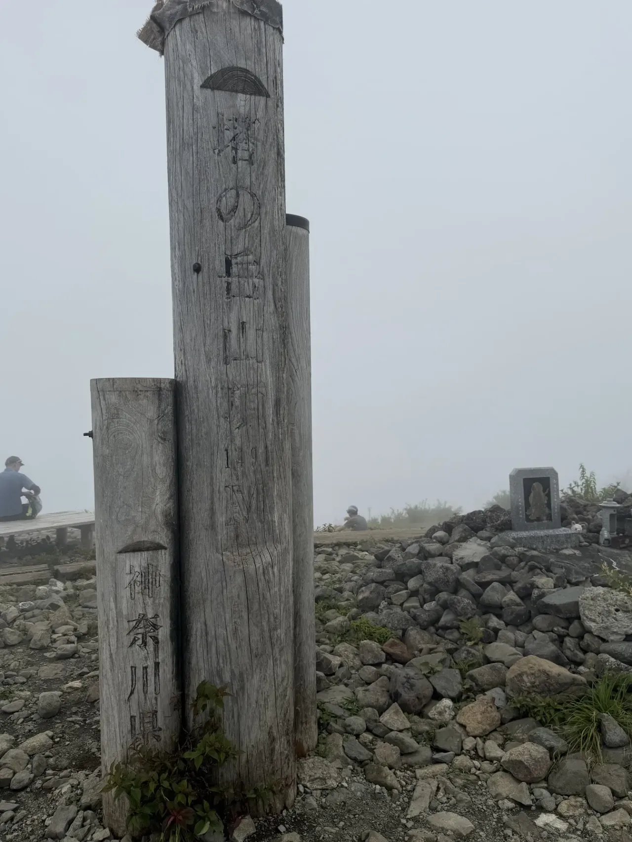 大倉尾根を登る
